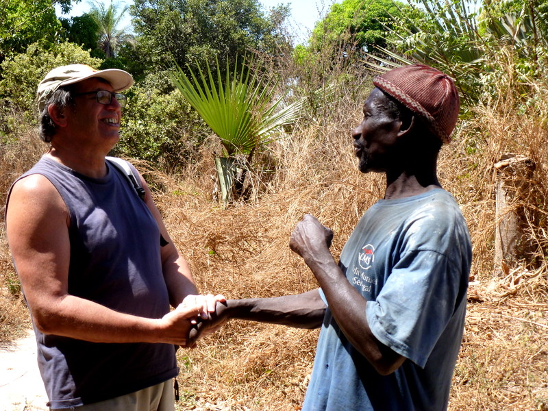 Collectionneur d'art africain avec masques et statues authentiques